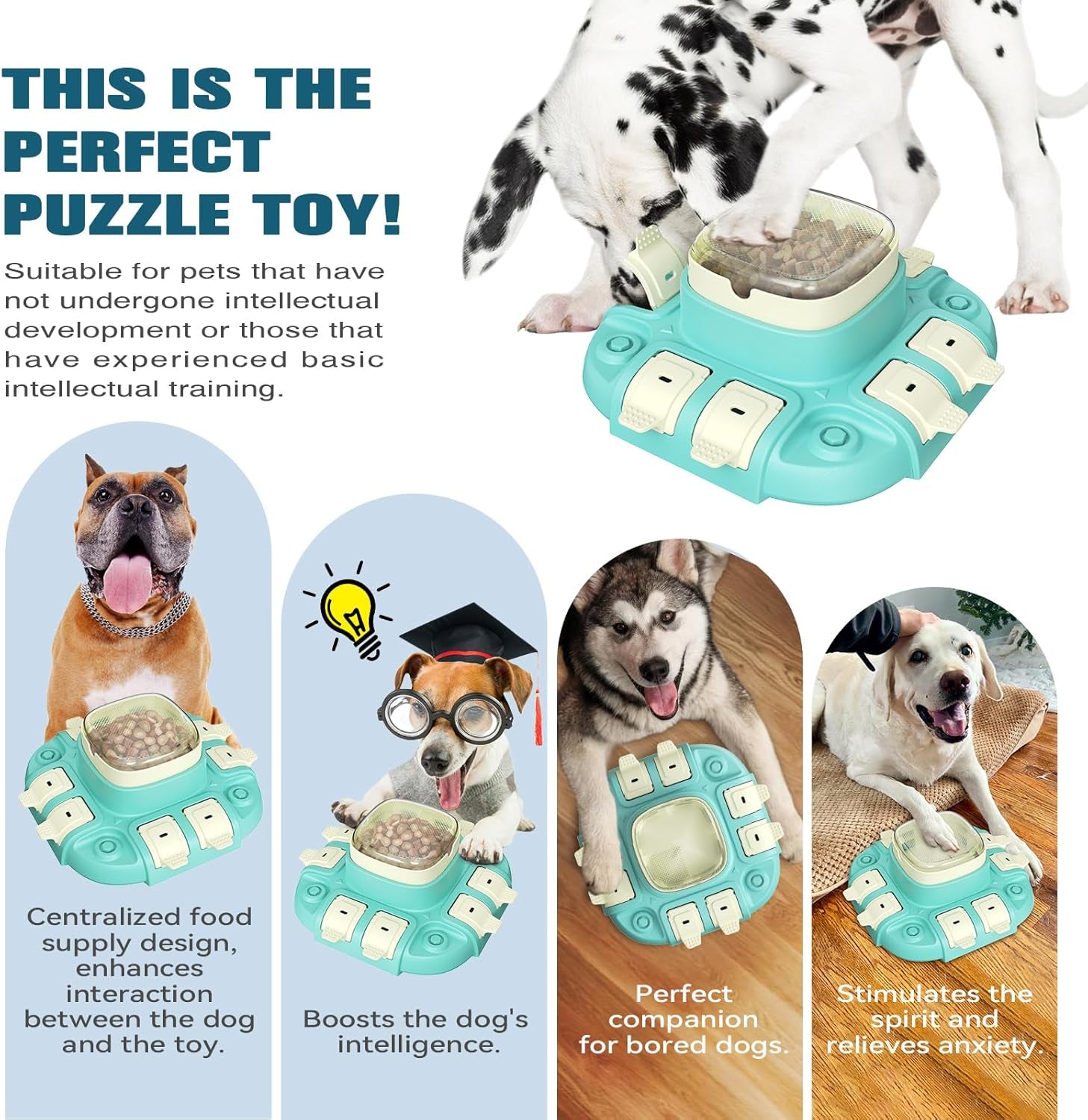 Dog Puzzle Toy IQ Training